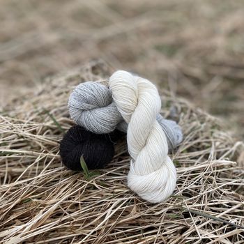 Hovedbilde Einjerning