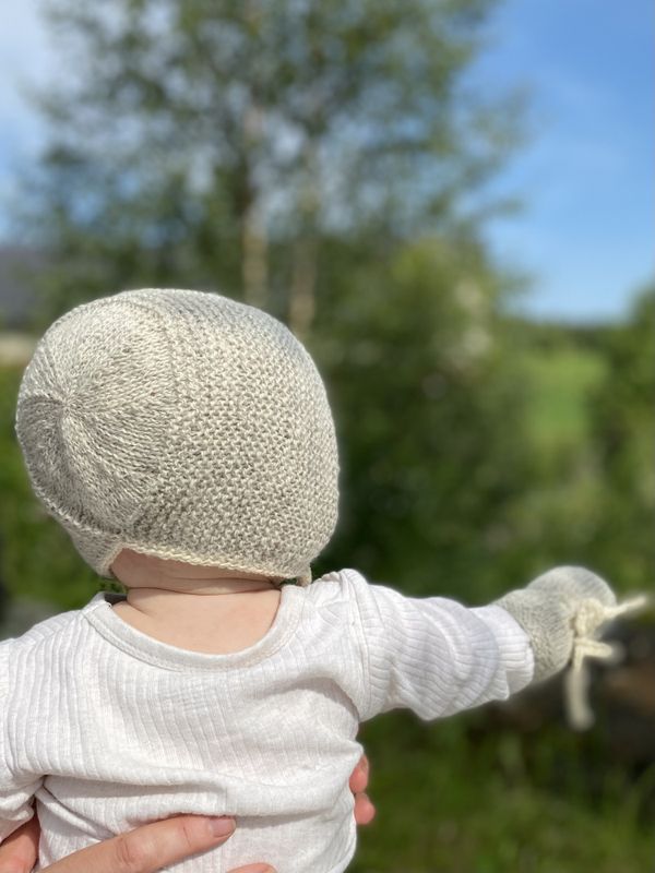 Vesle Trønder - Aprikos