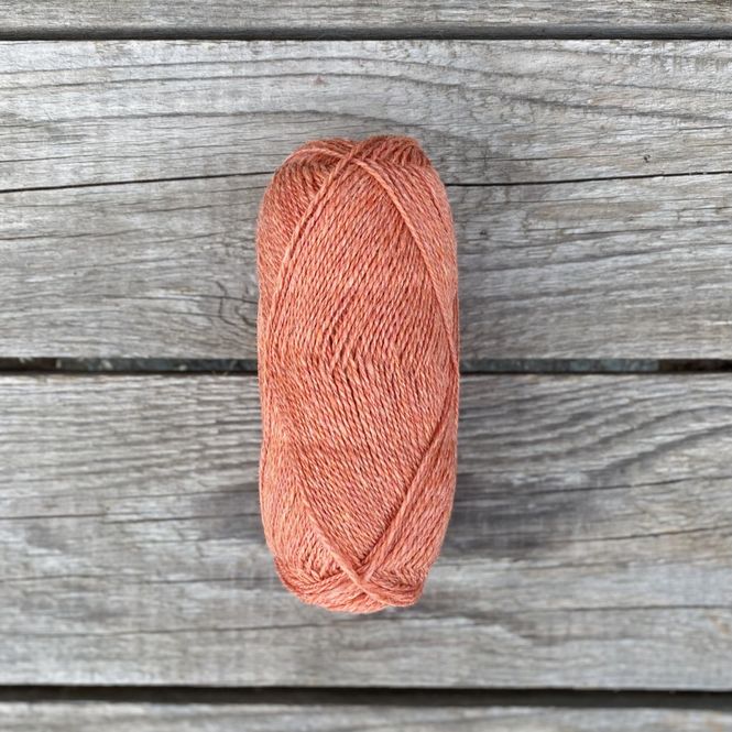 Hovedbilde Vesle Trønder - Aprikos