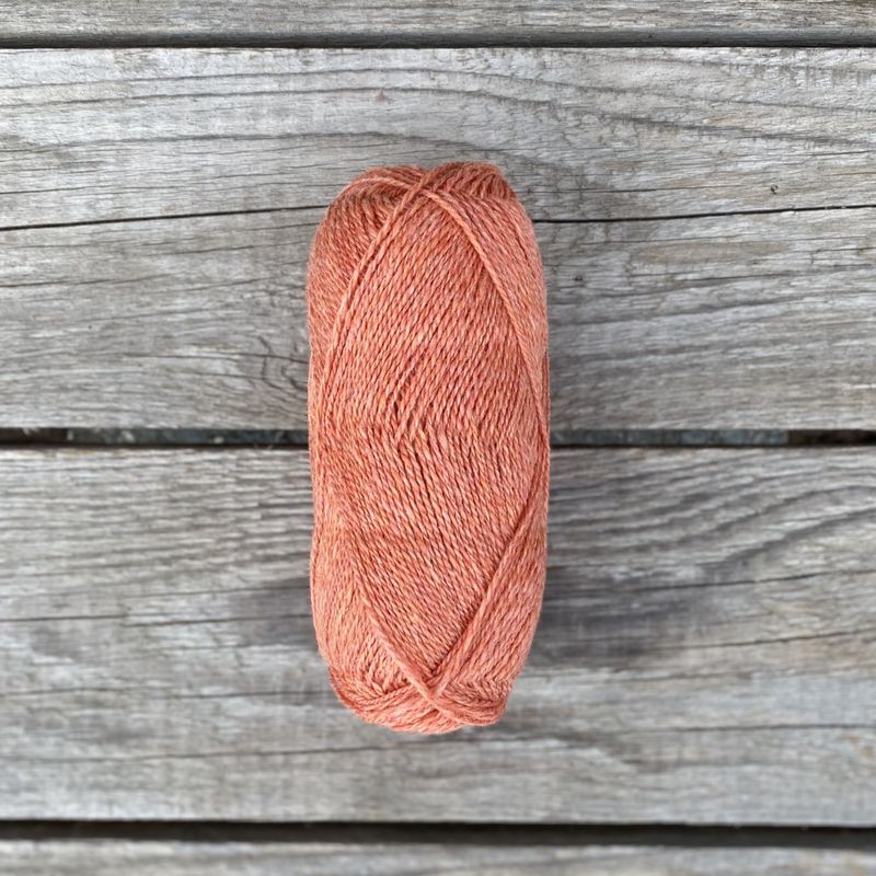 Vesle Trønder - Aprikos