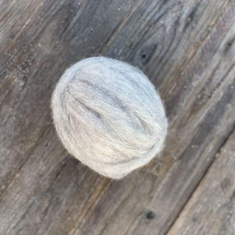 Kardebånd Villsau - Hvitgrå