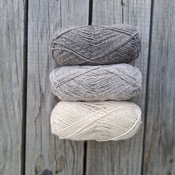 Hovedbilde Gimre Samojed