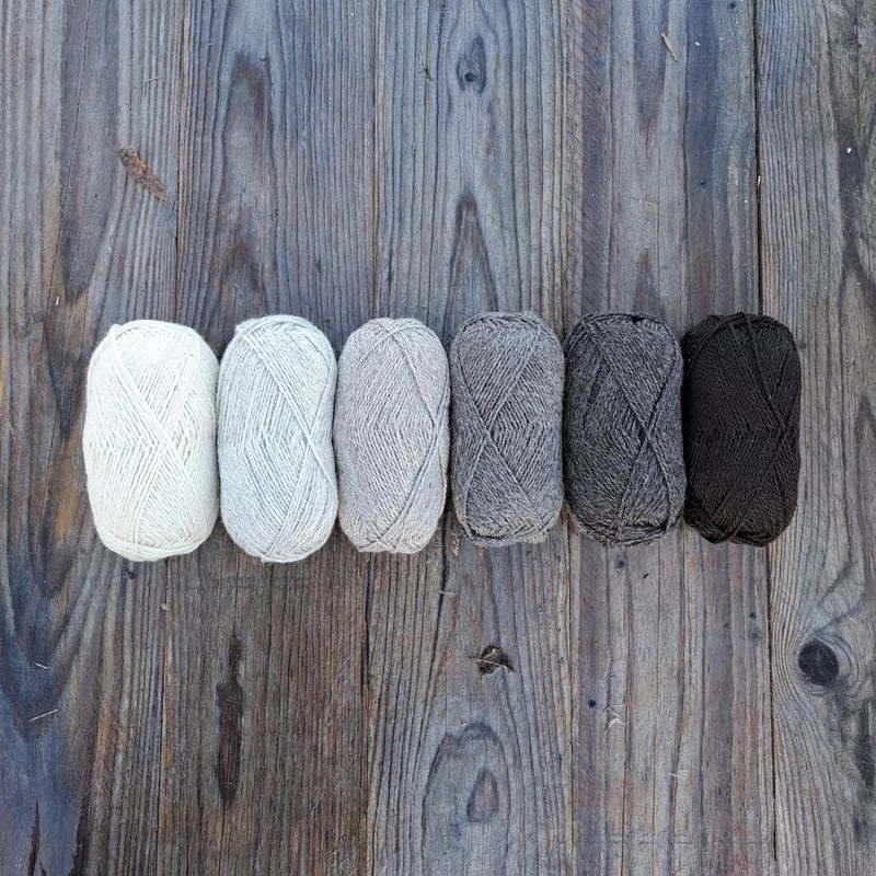 Strikkepakke - Enkel selbuvott herre