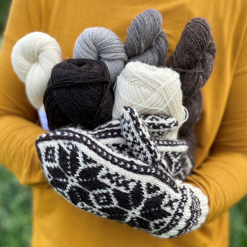 Strikkepakke - Enkel selbuvott dame