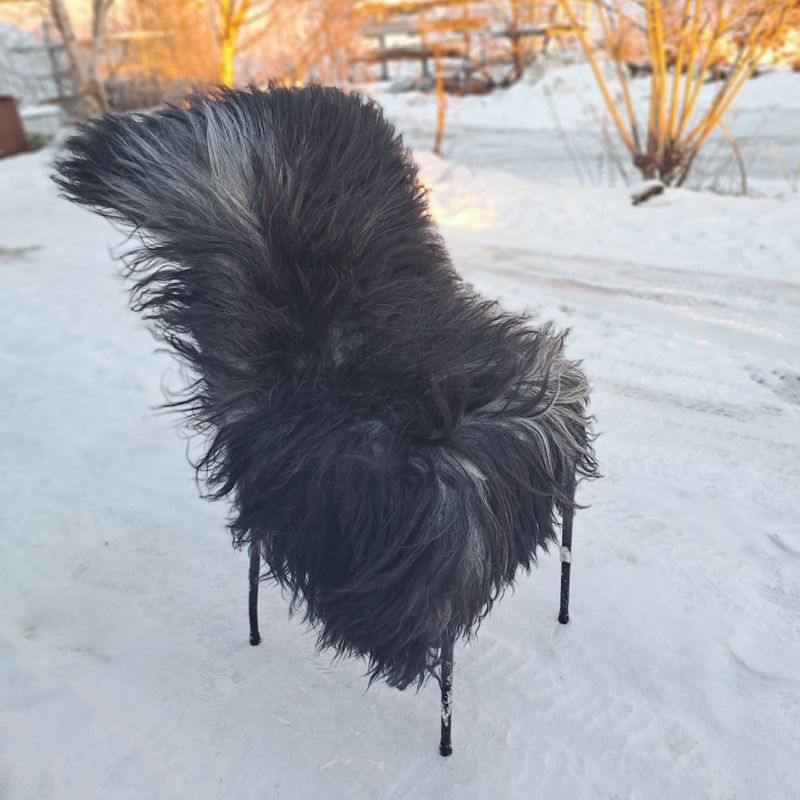 Lammeskinn av Gammelnorsk spælsau grå