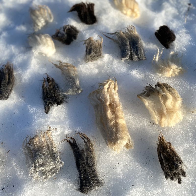 Kurs i Ullsortering - 28. September 2025