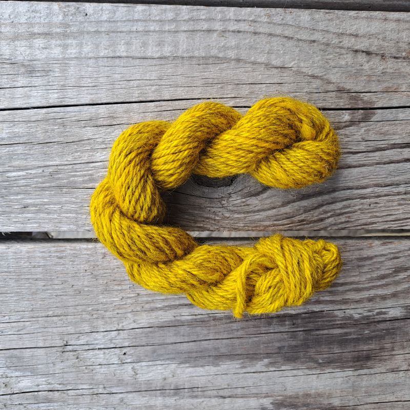 Stuggu Begeistret Bajas